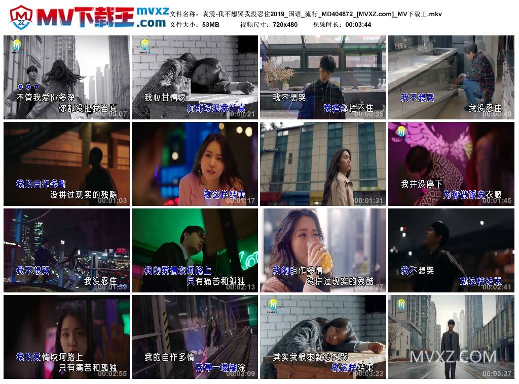 袁震-我不想哭我没忍住2019_国语_流行_MD404872
